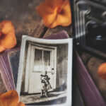 2025069期双色球开奖号码已公布,快来看看你中奖了吗? 0jtdynsem