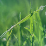 2025075期开奖视频全程高清完整版回放 40garehc