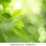 2025073期彩票开奖日期及中奖号码公布 6eznlk5