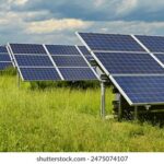 3排列开奖结果最新公布与数据分析 8u730e0