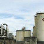 2025064期双色球开奖号码正式公布 b6089923