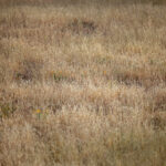 2025072期双色球开奖号码结果查询与公布 b9z22x2h9