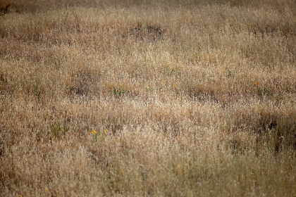 2025072期双色球开奖号码结果查询与公布 2025072期双色球开奖号码结果查询与公布