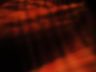 3开奖走势图最新分析与预测技巧 3开奖走势图最新分析与预测技巧