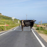 2025068期双色球开奖结果最新公布 el2a45c4