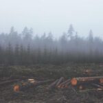 2025061期双色球开奖结果查询与号码分析 j1w4bhum