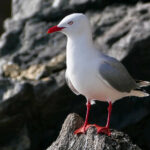 2025064期开奖结果最新公布与详细分析 sg5z8