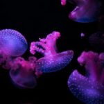 2025072期最新3D开奖结果与号码分析 t68z2h8hk