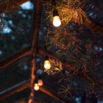 2025065期开奖结果最新公布与详细分析 z1n6rq