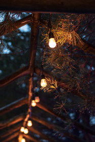 2025065期开奖结果最新公布与详细分析 2025065期开奖结果最新公布与详细分析